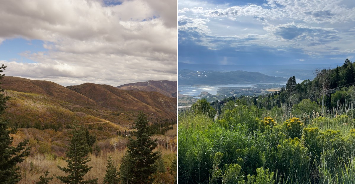 10 Utah Places Where Tick Populations Are Highest This Fall