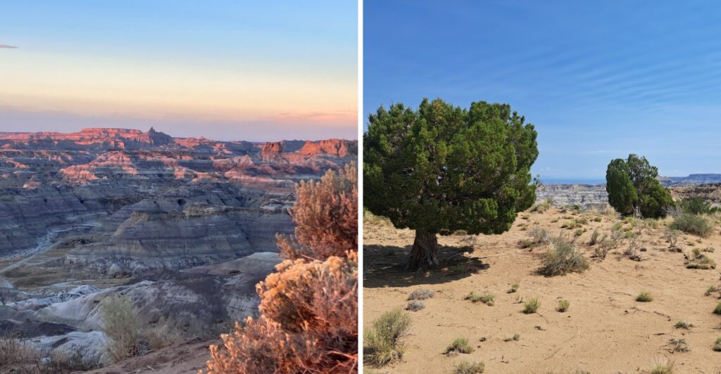 This New Mexico Mountain Overlook Has A Surprising Snake Problem