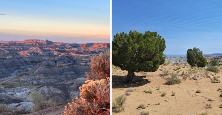 This New Mexico Mountain Overlook Has A Surprising Snake Problem