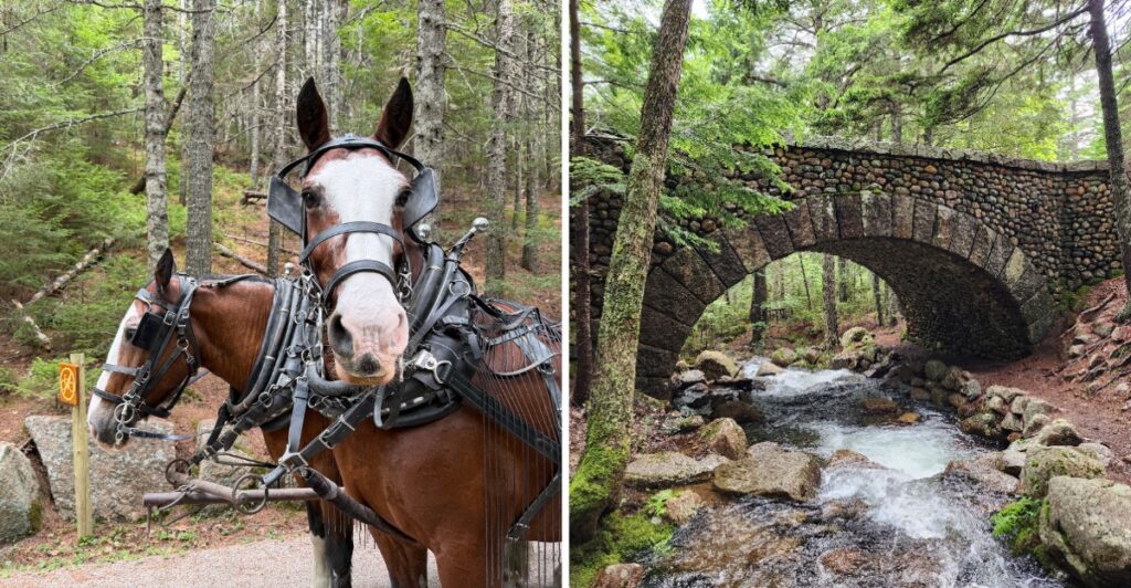 This Maine National Park Has Miles Of Carriage Roads Built To Keep Cars Out