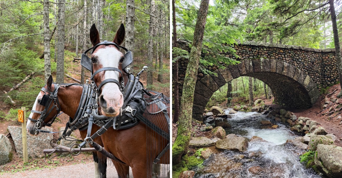 This Maine National Park Has Miles Of Carriage Roads Built To Keep Cars Out
