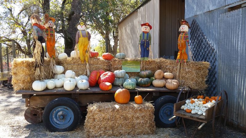Seven California Mountain-Town Spots Where Fresh Apple Fritters Are Worth The Winding Drive