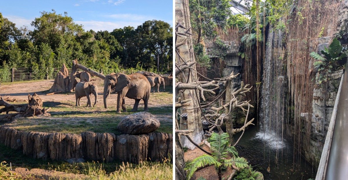 This Nebraska Zoo Hosts A Giant Indoor Desert Under An Acrylic Dome And A Massive Indoor Rainforest