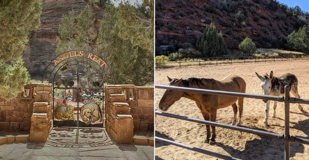 The Unique Wildlife Experience In Utah Where You Can Get Up Close With Wolves