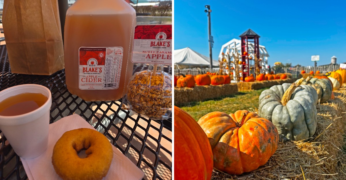 This Michigan Apple Orchard Cafe Has Become A Fall Tradition For Families Who Return Every October