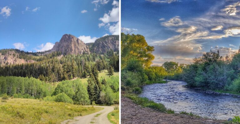 This Quiet New Mexico Town Has Some Of The Most Stunning Early Fall Foliage In The State