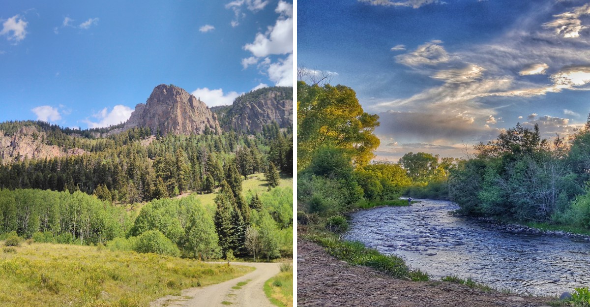 This Quiet New Mexico Town Has Some Of The Most Stunning Early Fall Foliage In The State