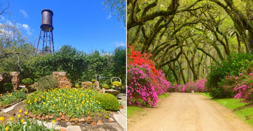 Afton Villa Gardens
