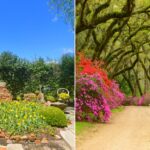 Afton Villa Gardens
