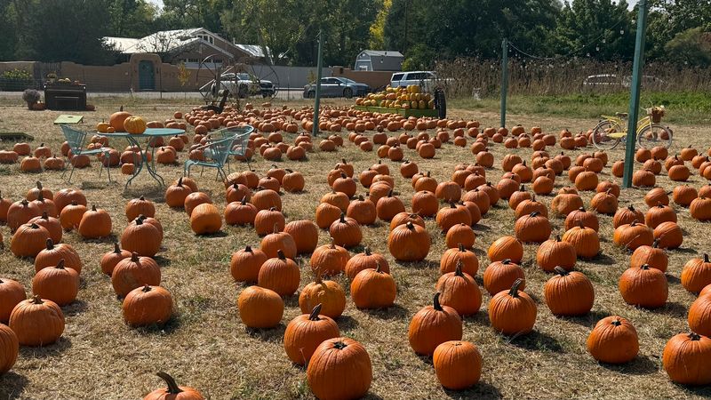 10 New Mexico Fall Destinations Worth Building A Weekend Around Before The Season Slips Away