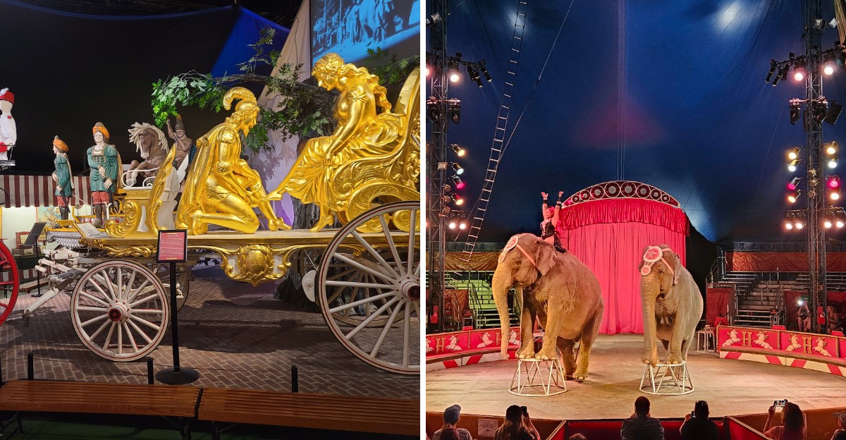 This Wisconsin Museum Keeps Historic Circus Wagons From The Golden Age Of The Big Top