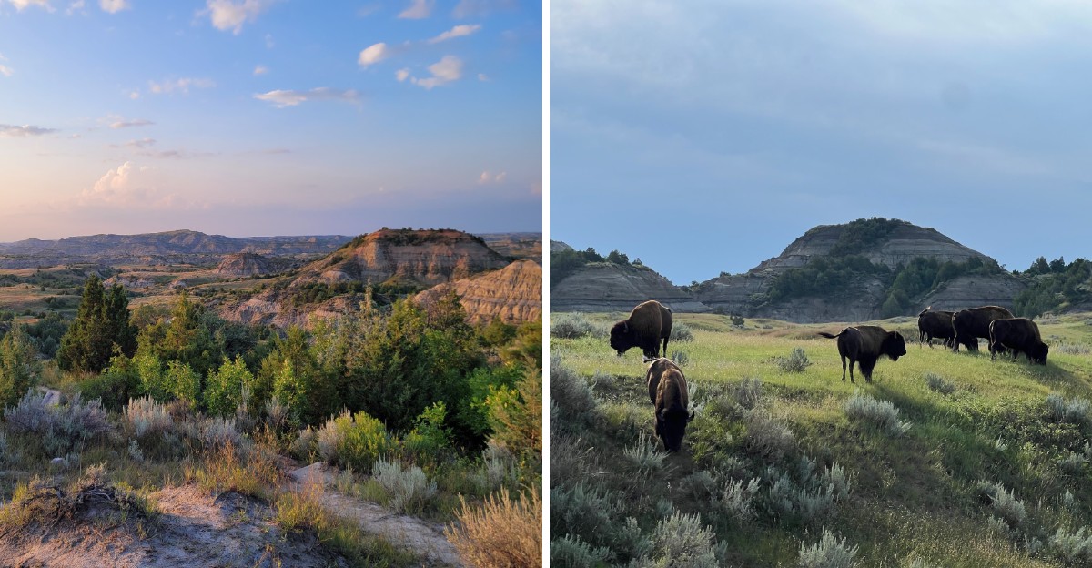 This North Dakota Park Looks Like A Colorful Badlands With Wild Bison And Is A Smart Pick For Your 2027 Travels