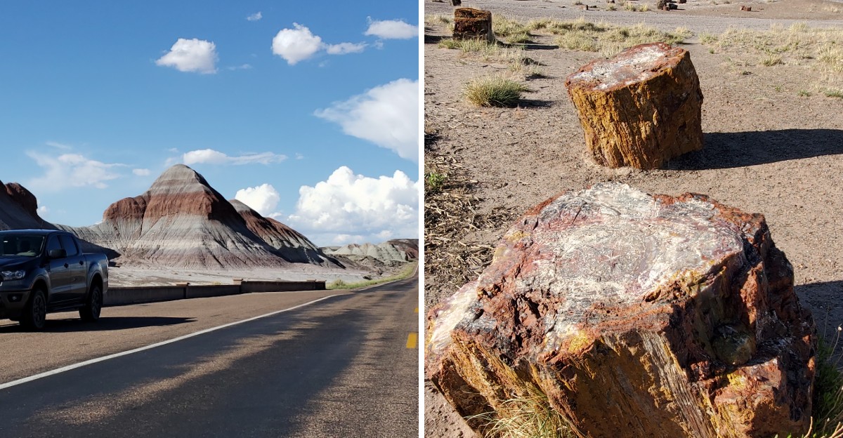 This Arizona Park Has Petrified Logs and a Painted Desert and Is Best Visited in Cooler Months Before 2026 Ends