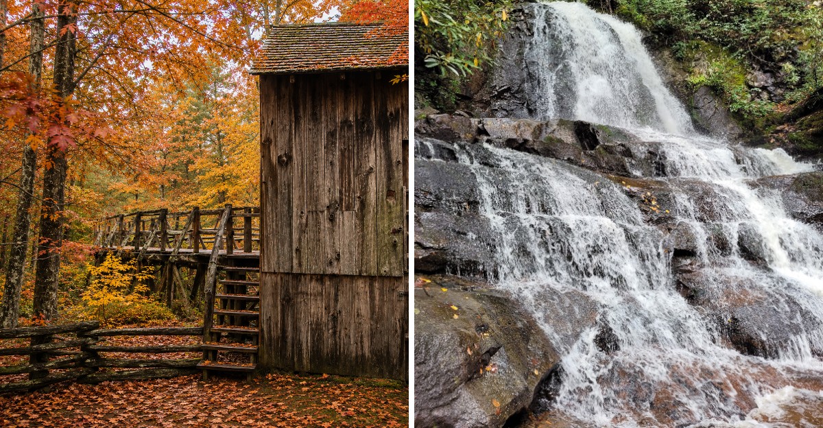 This Tennessee Valley Ringed By Mountains Puts On A Peak Fall Color Show Along Its Famous Loop Road