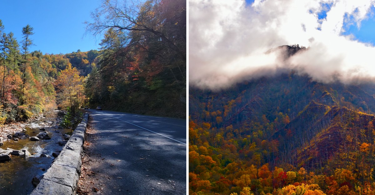 This Tennessee Mountain Road Trip Uncovers Some Of The South’s Most Spectacular Fall Color