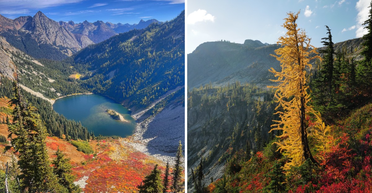This Washington Trail Turns Golden Every October Because Of Larch Trees
