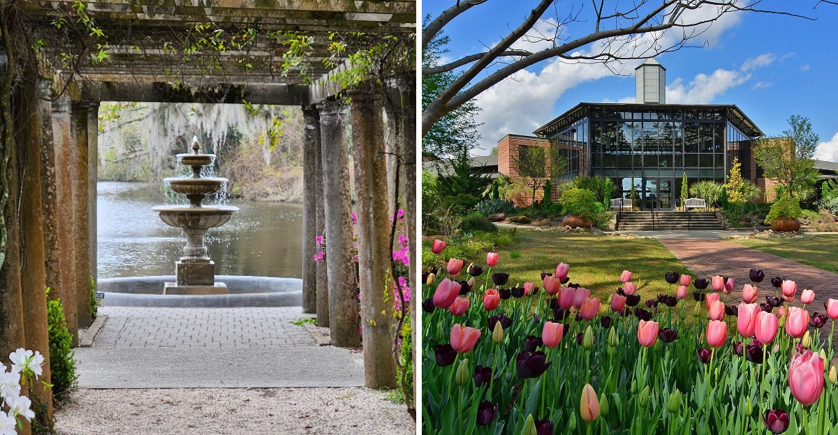 10 North Carolina Botanical Gardens Worth A Slow Afternoon