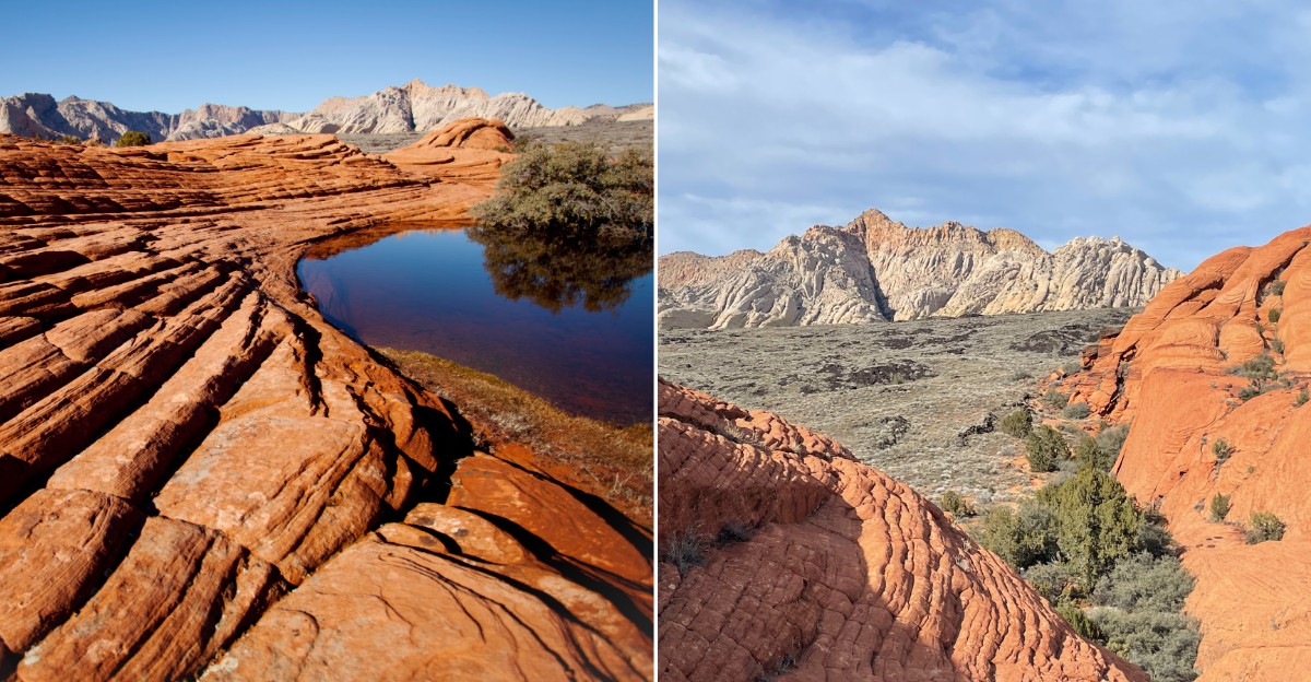 This Massive Utah State Park Has A Native Rattlesnake Population So Locals Know To Watch Their Step