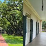 Oak Alley