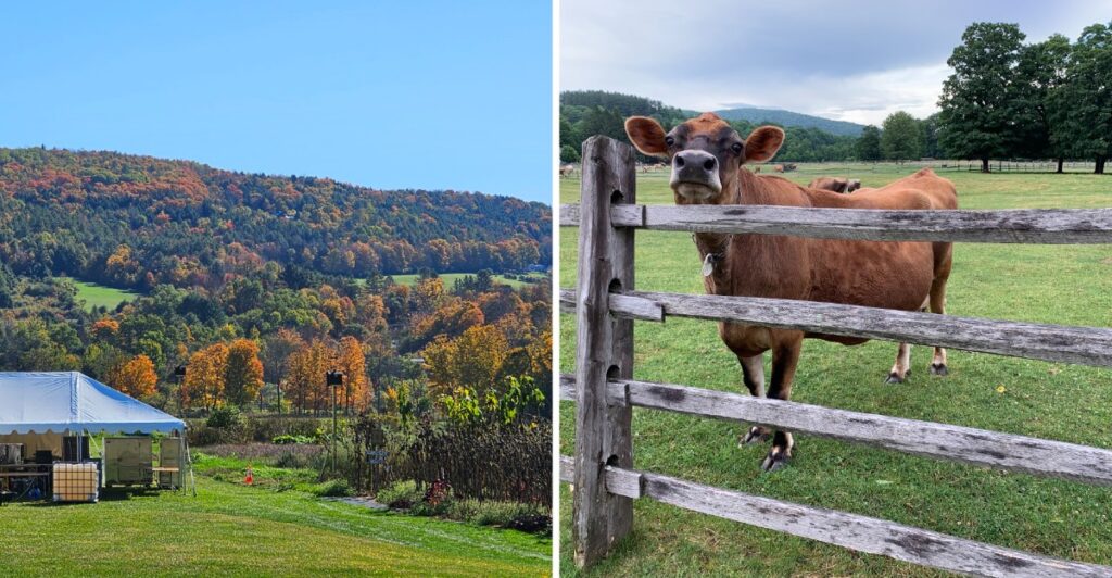 This Picturesque Vermont Farm Looks Like A Fall Postcard With Historic Barns And Stunning Autumn Colors