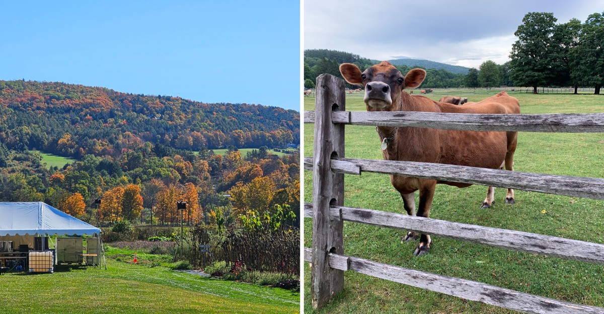 This Picturesque Vermont Farm Looks Like A Fall Postcard With Historic Barns And Stunning Autumn Colors