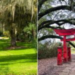 Avery Island