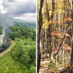This West Virginia Steam Train Climbs Through Mountain Switchbacks To Nearly 5,000 Feet