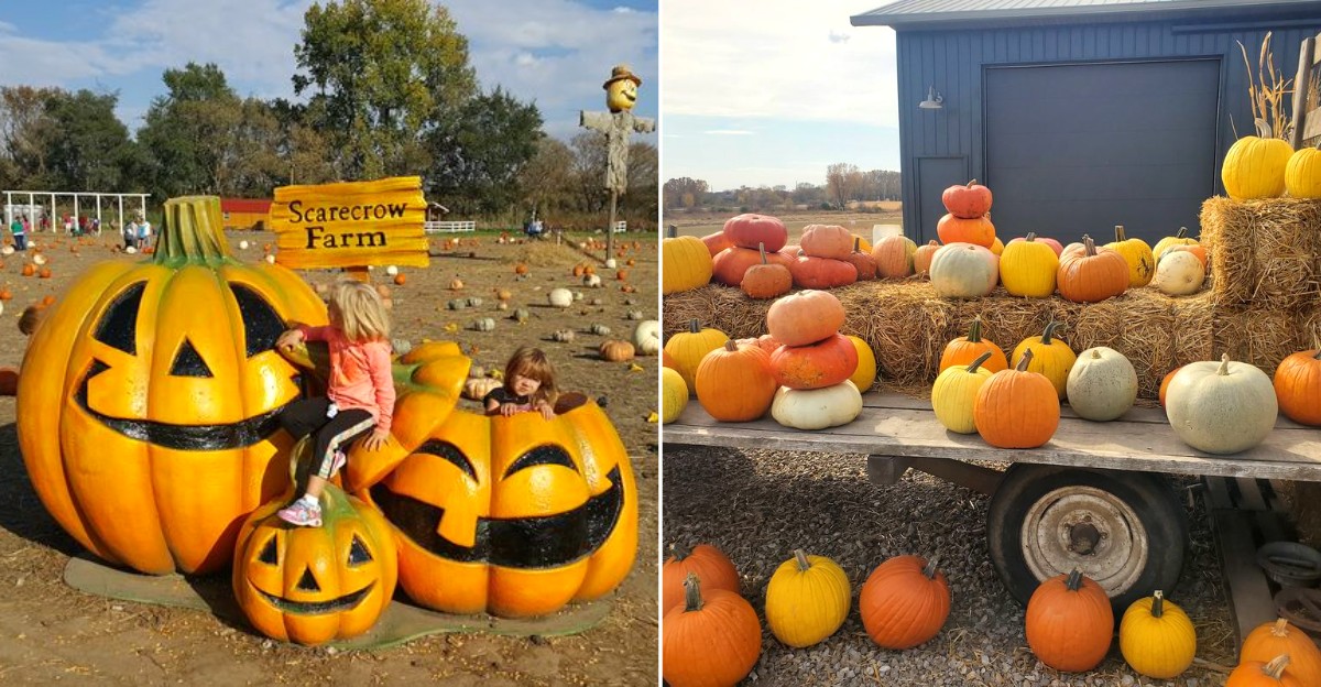 13 Iowa Pumpkin Farms Packed With The Best Kind Of Fall Fun