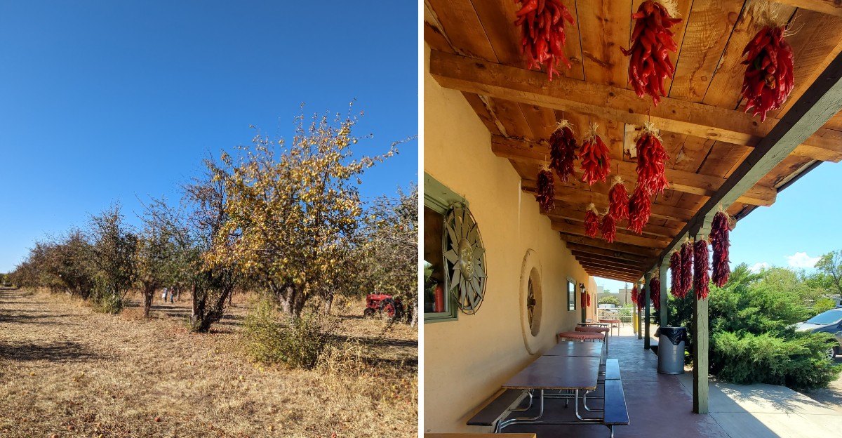 This New Mexico Restaurant Hidden Inside An Apple Orchard Is A Fall Must-Do