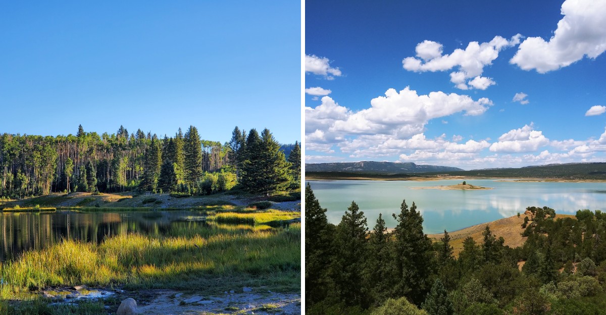 8 New Mexico Lakes So Clear And Quiet They Feel Like A Secret Worth Protecting