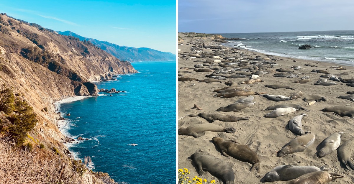 10 California Scenic Overlooks Along The Big Sur Coast To Visit Before 2026 Ends