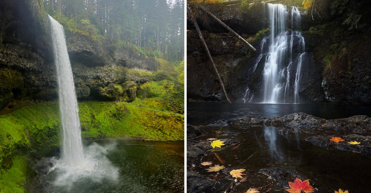 This Oregon State Park Has A Loop Trail Past Ten Waterfalls And Stunning Fall Foliage