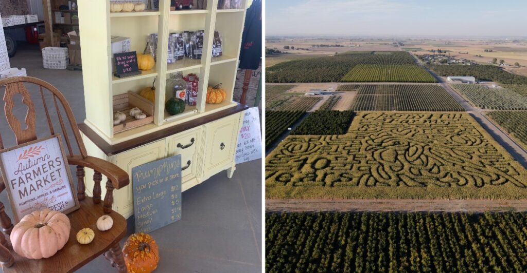 This Idaho Farm Turns Its Fall Harvest Into A Weekend Festival With A Beautiful Corn Maze And Pumpkin Patch
