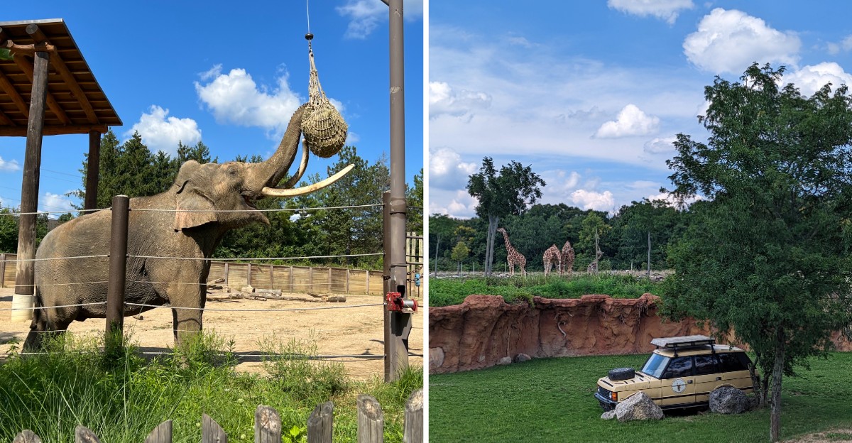 One Of America’s Largest Zoos Is In Ohio And It’s The Kind Of Place That Justifies A Long Drive