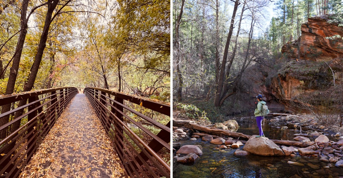 This Arizona Canyon Trail Along Oak Creek Is One Of The Best Fall Color Hikes In The Southwest