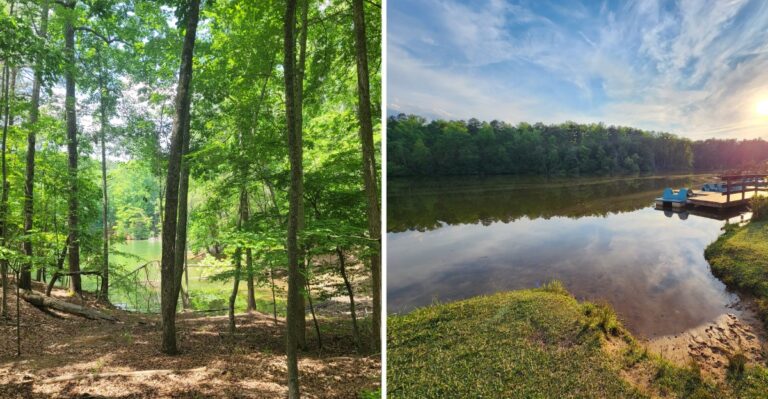 This North Carolina Lakeshore Has So Many Snake Sightings That Visitors Are Watching Every Step
