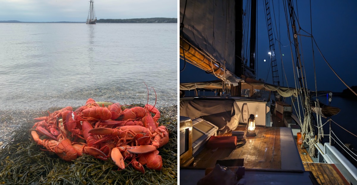 This Maine Harbor Still Launches Century-Old Windjammers For Multi-Day Trips Along The Coast