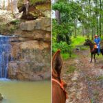 Hidden Louisiana Trails