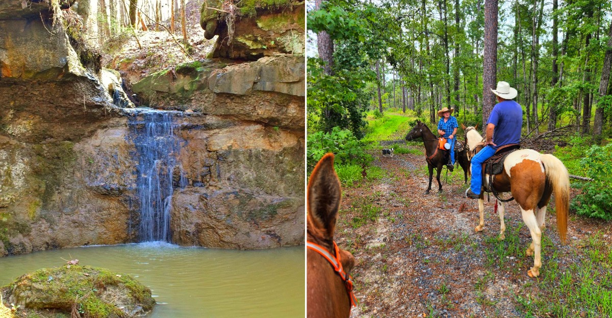 These Louisiana Trails Somehow Stay Off Most Tourist Radars And That’s A Shame