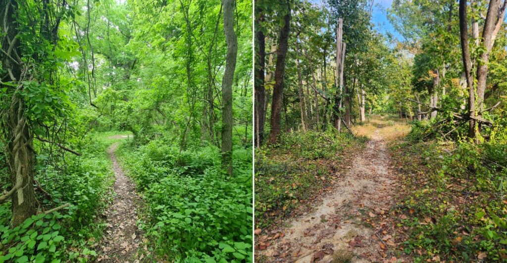 9 Iowa City-Area Dirt Trails That Feel Like Secret Getaways