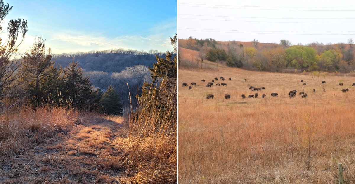 13 Iowa Loess Hills Stops That Turn Autumn Into An All-Day Adventure