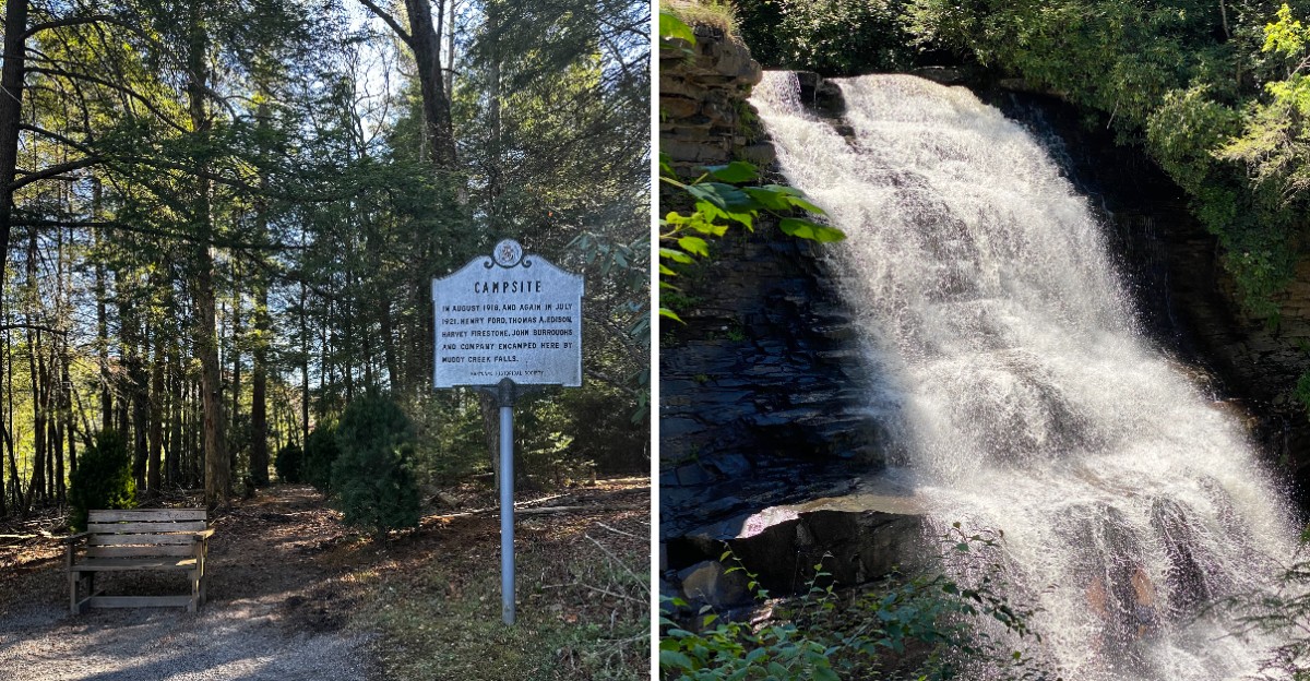 This Maryland Waterfall Is The State’s Tallest Free-Falling Waterfall Hidden In A Hemlock Forest