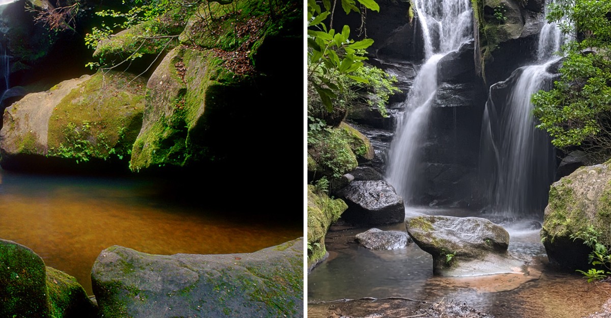 This Alabama Canyon Hides Waterfalls Giant Boulders And A Moss-Covered Forest Below The Rim