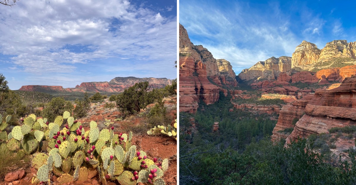 10 Most Beautiful Scenic Drives In Arizona’s Red Rock Country