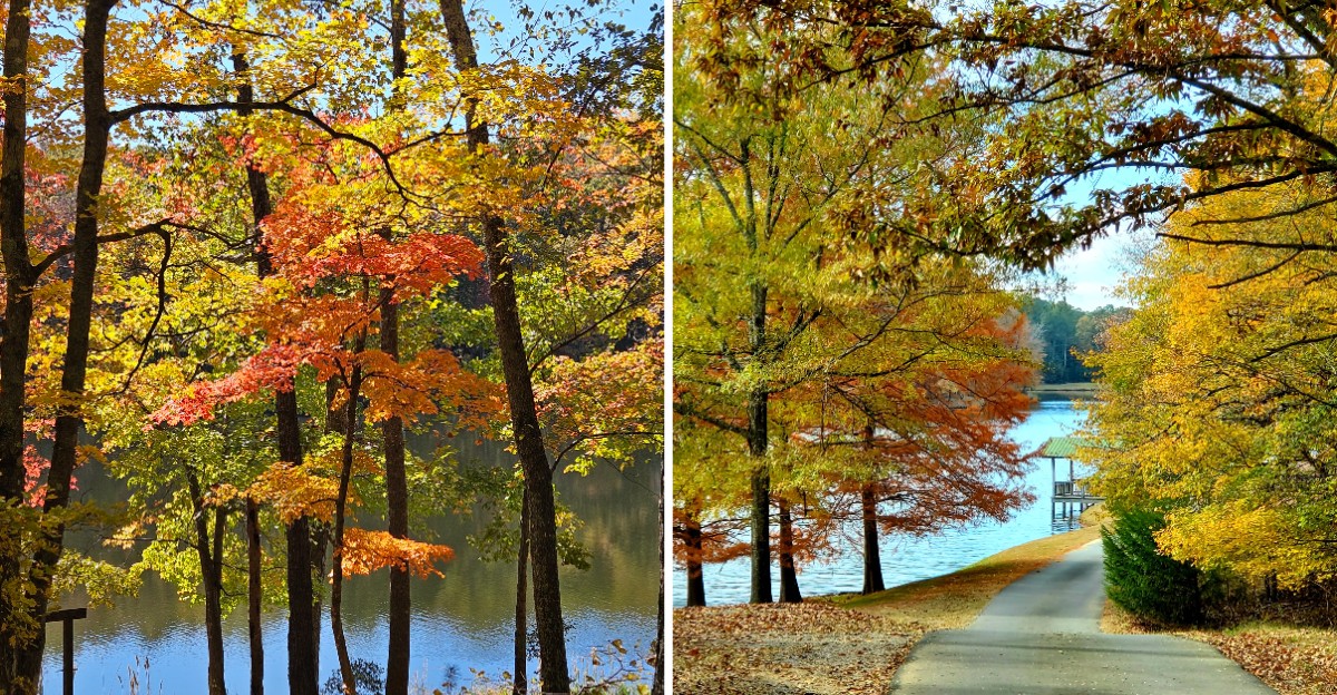 This Quiet Georgia State Park Has Gorgeous Fall Scenery Without The Big Crowds
