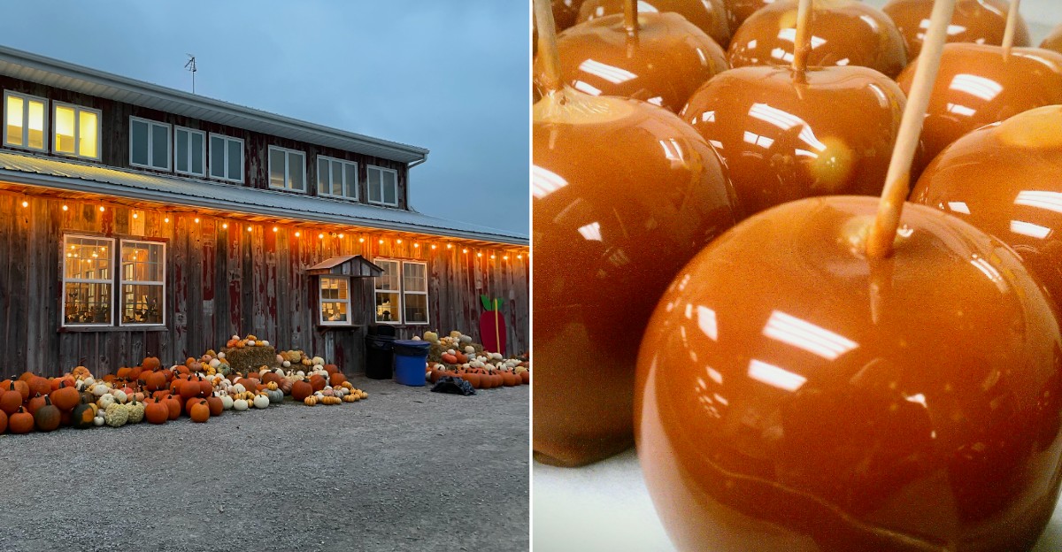 12 Iowa Farm Markets Where Caramel Apples Make Halloween Sweeter