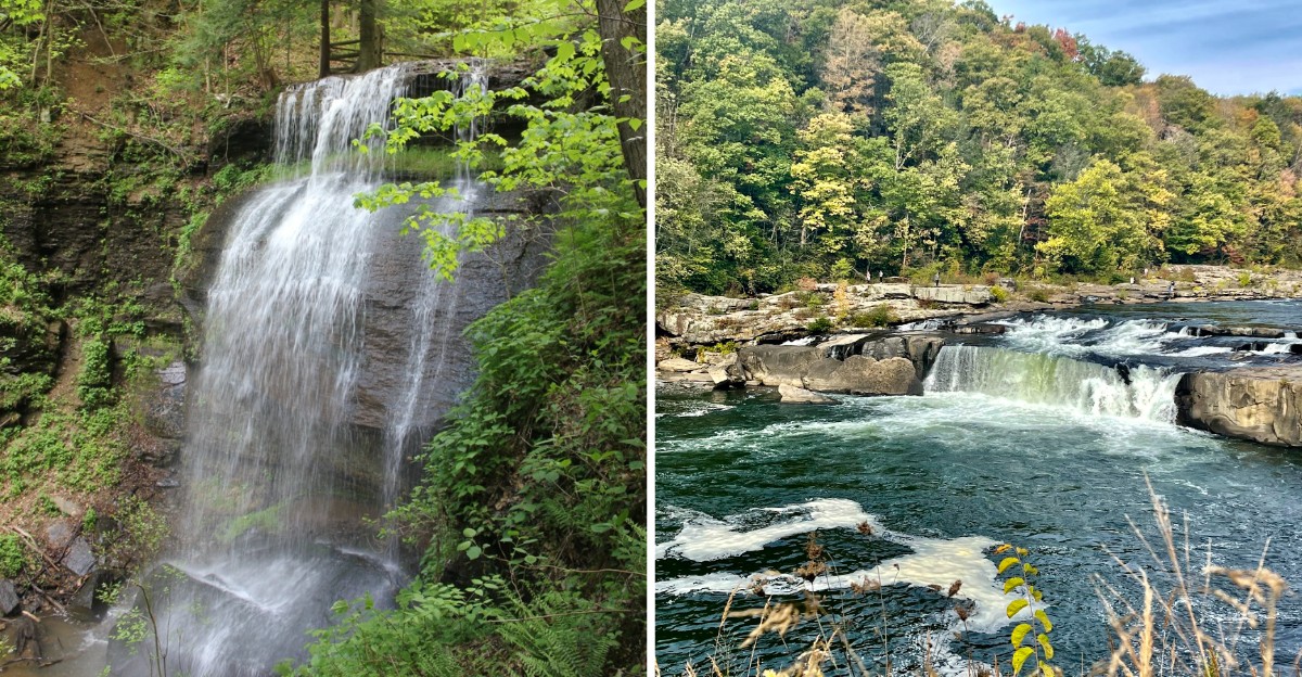 10 Pennsylvania Waterfalls With Spectacular Fall Foliage You Need To See Before The Leaves Drop