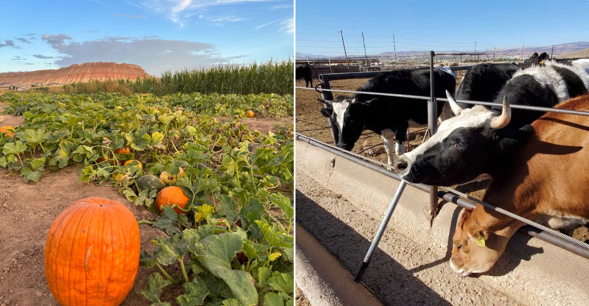 This Massive Utah Fall Festival Has A Secret Haunted Haunt Hidden Inside
