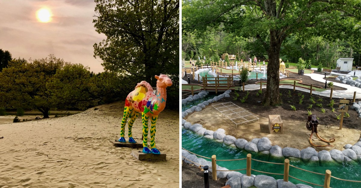 This Maine Sandy Landscape Looks Like A Desert In The Middle Of A Forest And Is Perfect For 2027 Plans