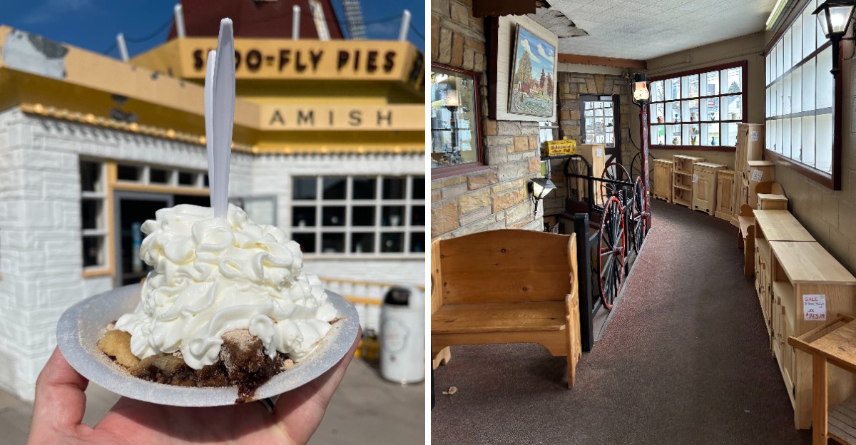 This Pennsylvania Pie Shop Sells The Shoofly Pie Many Families Bring To Thanksgiving